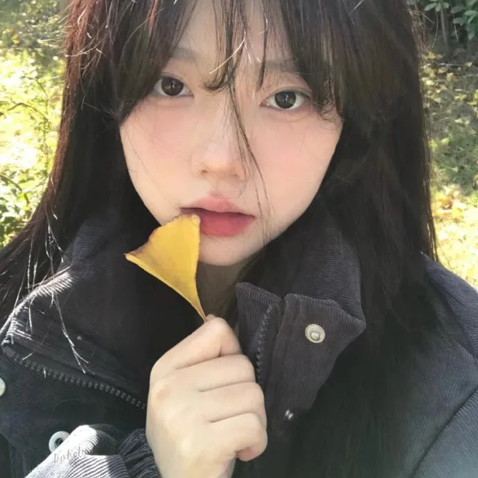 马贩子科尔哈斯